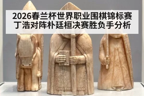 2026春兰杯世界职业围棋锦标赛丁浩对阵朴廷桓决赛胜负手分析